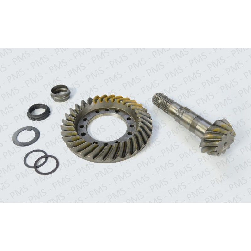 かに　603030 CARRARO AYNA MAHRUTİ / AYNA MAHRUTİ ÇEŞİTLERİ